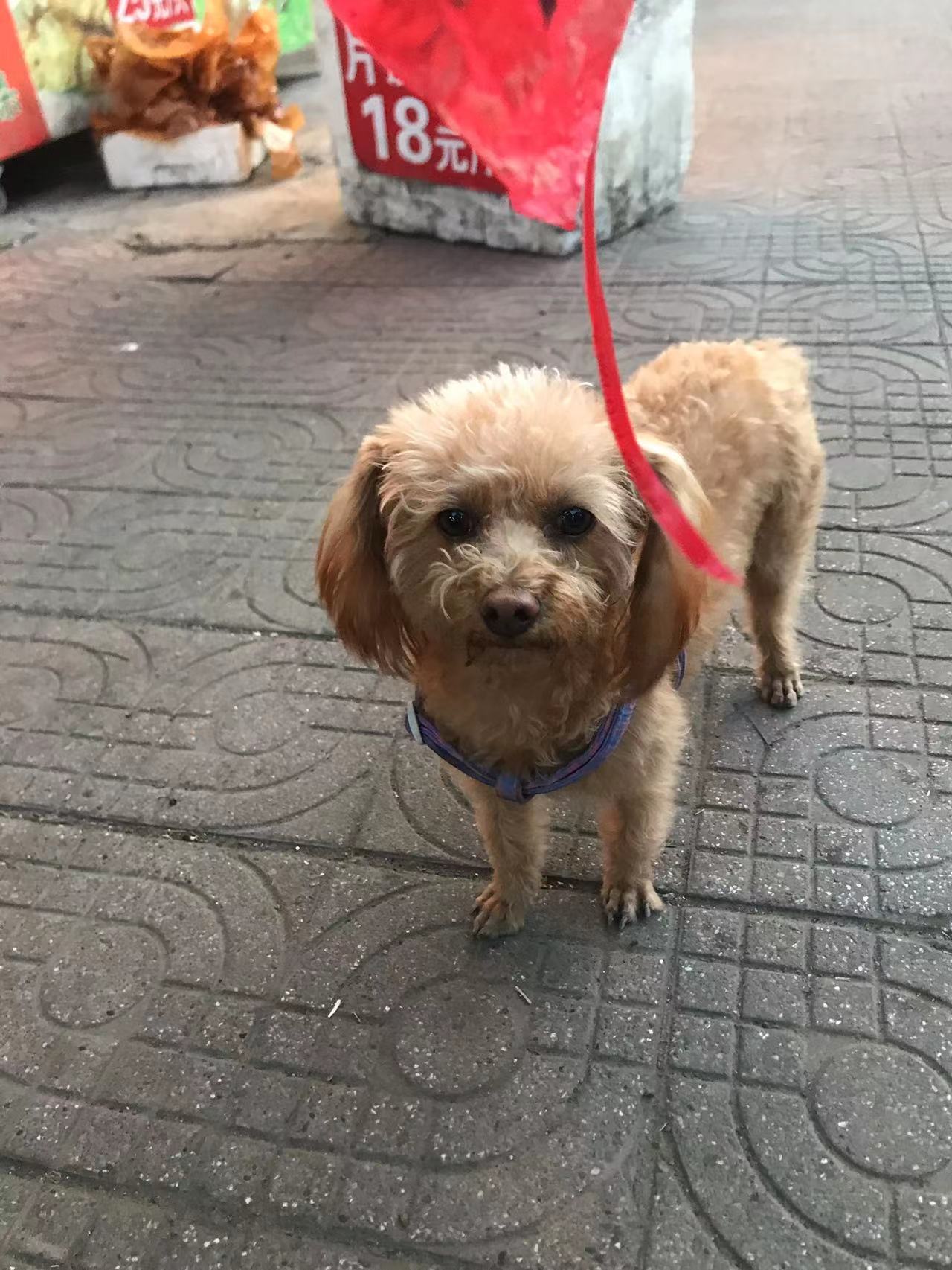 微信图片_20220311152505.jpg