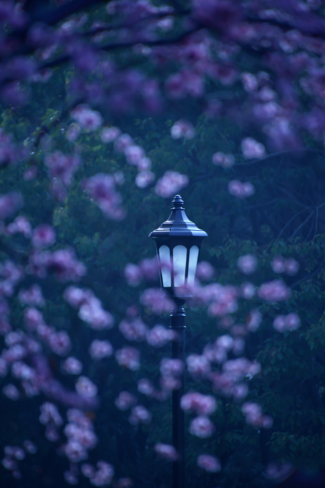 DSC_9087_047_副本_副本.jpg