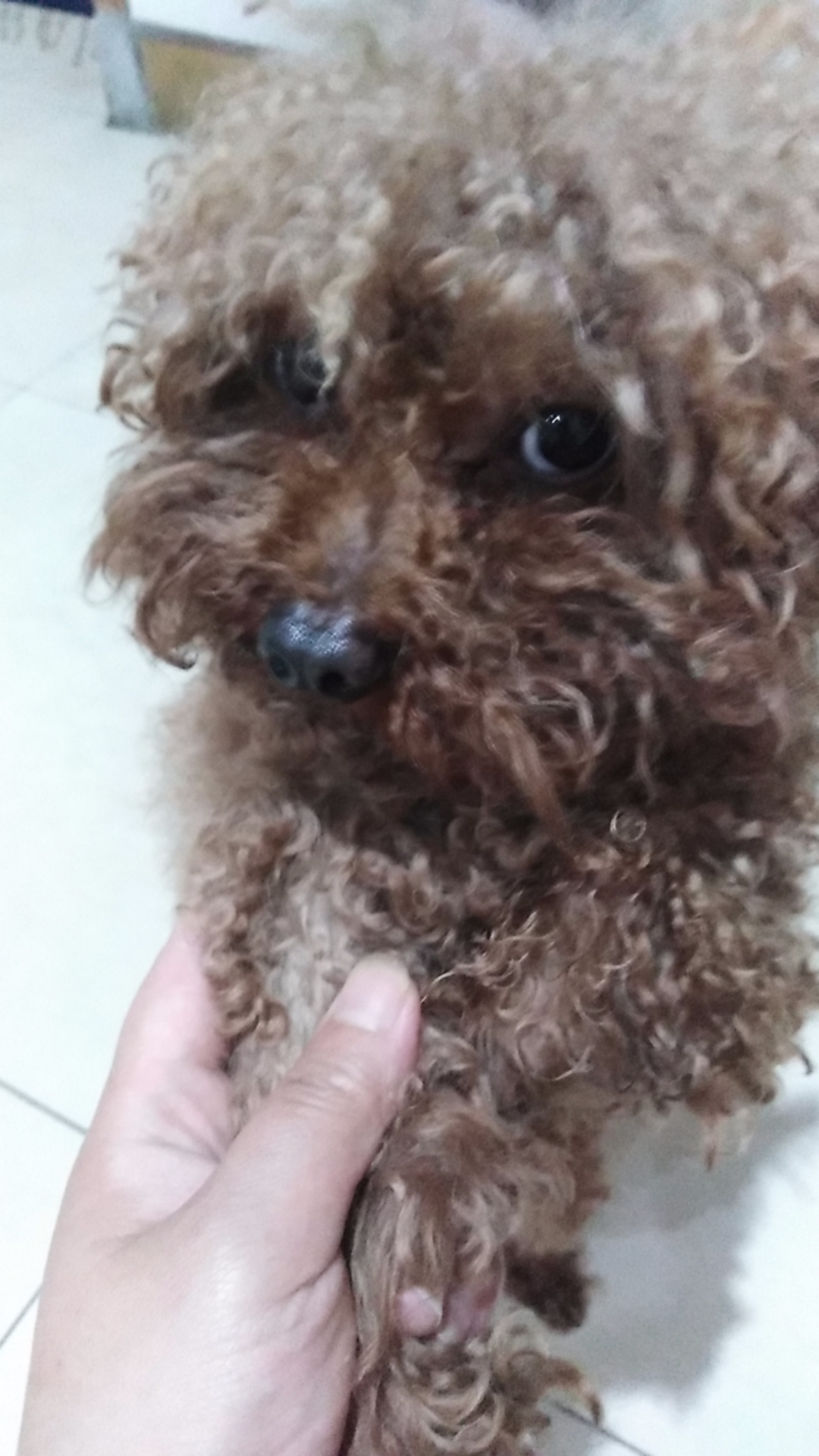 wechat_upload1649215071624d065f11361