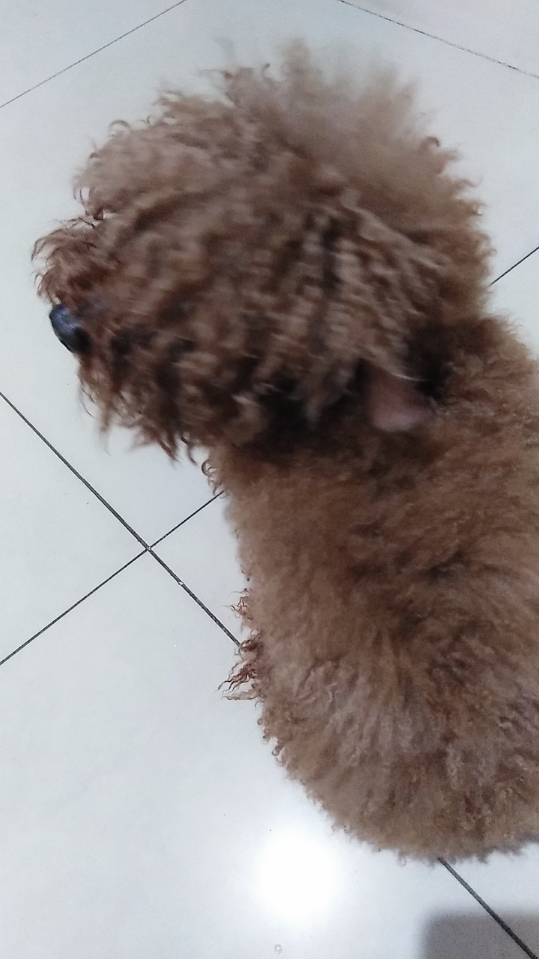 wechat_upload1649215073624d066128749