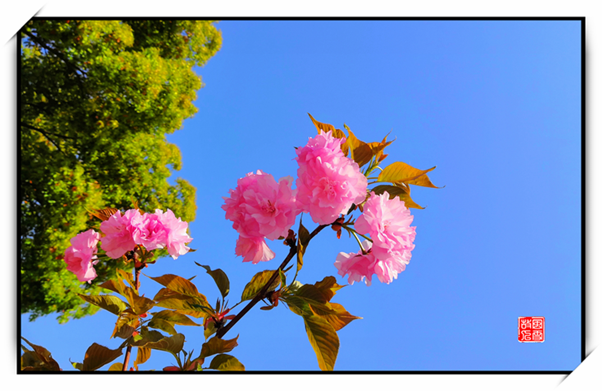 IMG_20220408_093023_副本.jpg