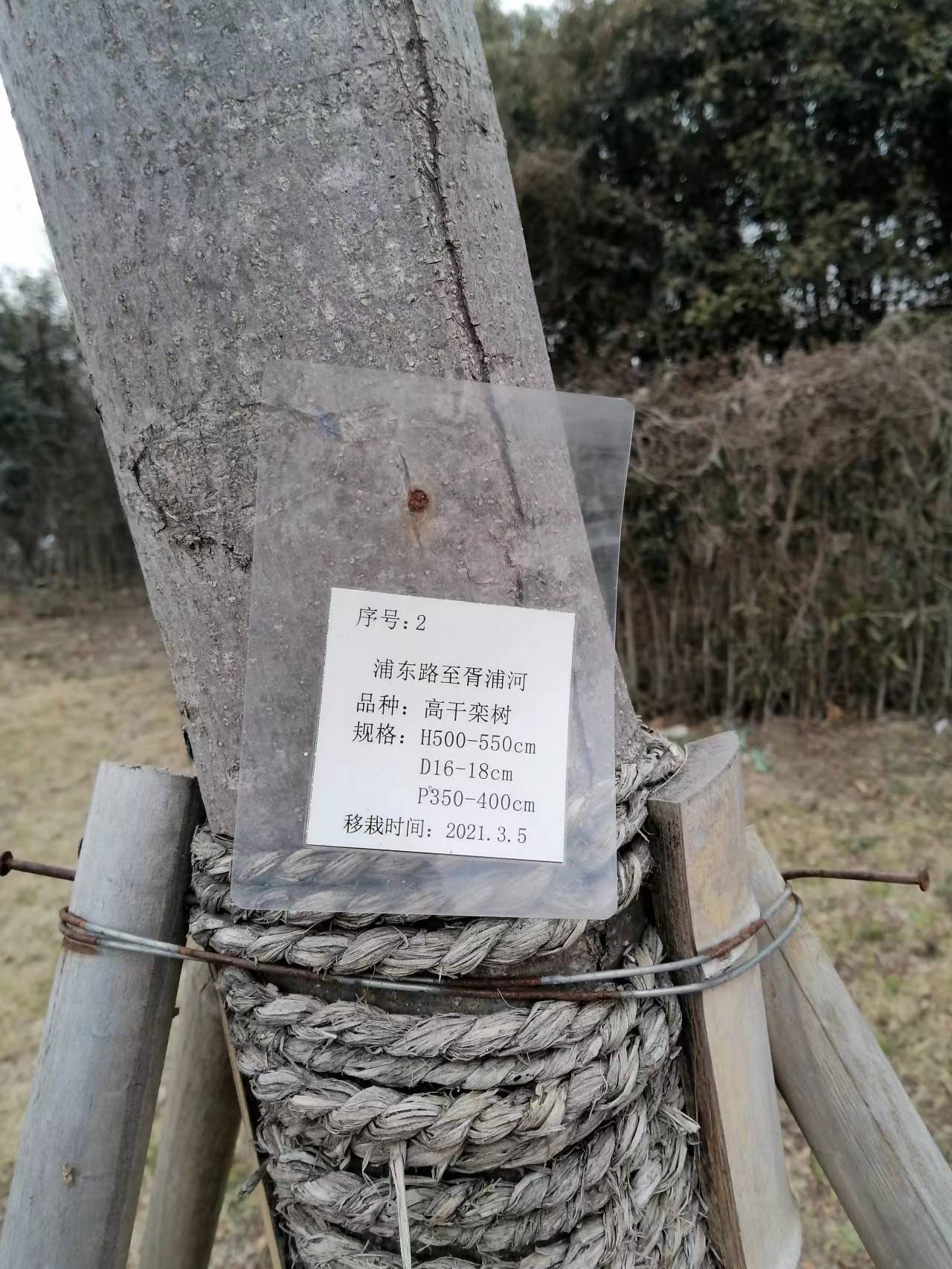 wechat_upload164957644862528a000ce73