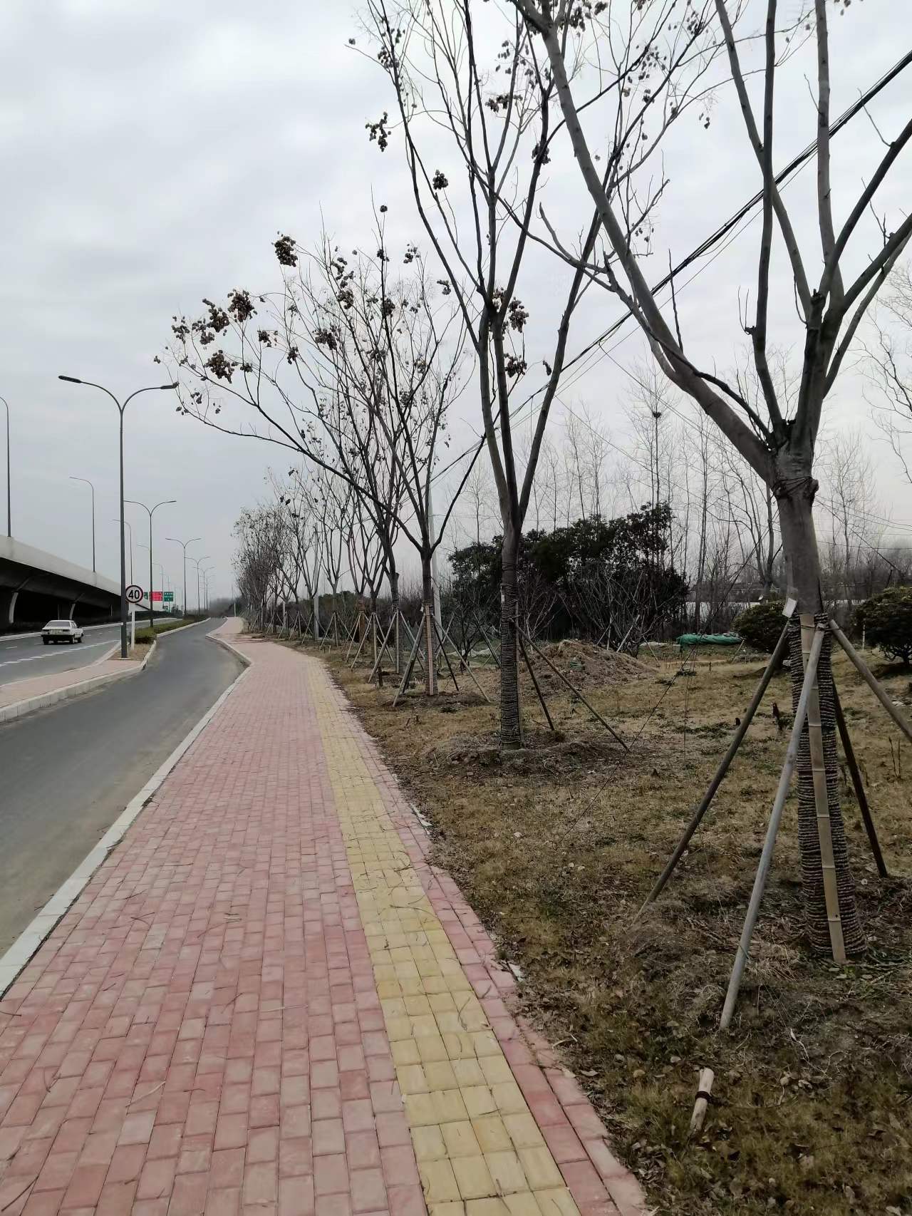 wechat_upload164957645062528a02116e4