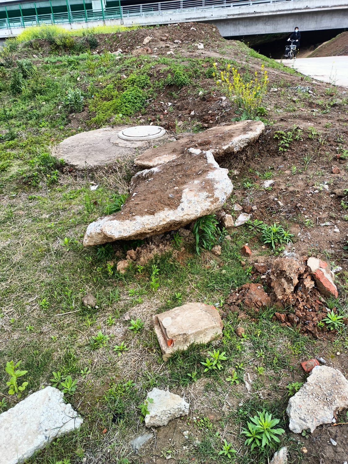 IMG20220414094147.jpg