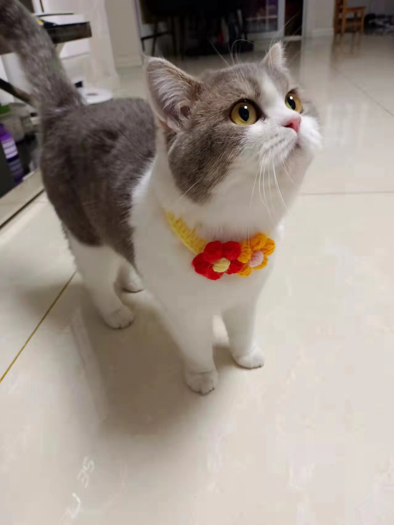 微信图片_20220414153754.jpg