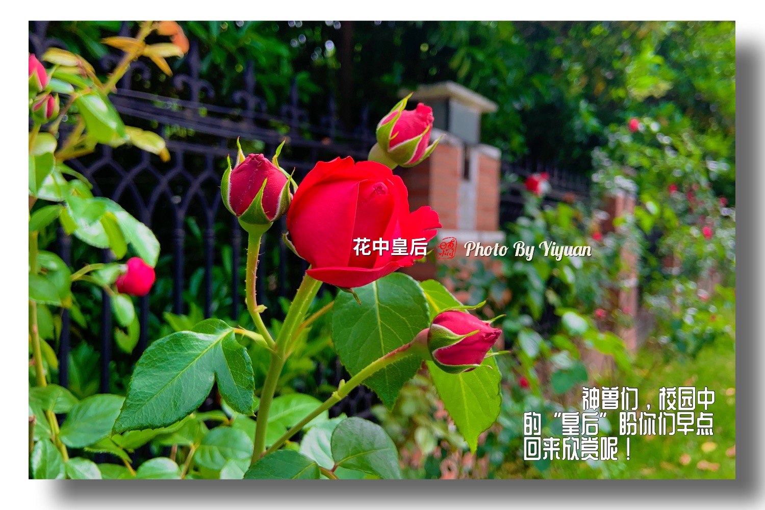 C823FDF5-0604-43BA-8F4C-F1E7DB76DAF8.jpeg