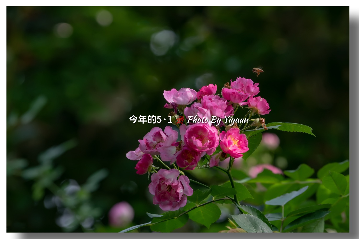 9367EBA0-4C97-401C-9551-3CD048455E2C.jpeg