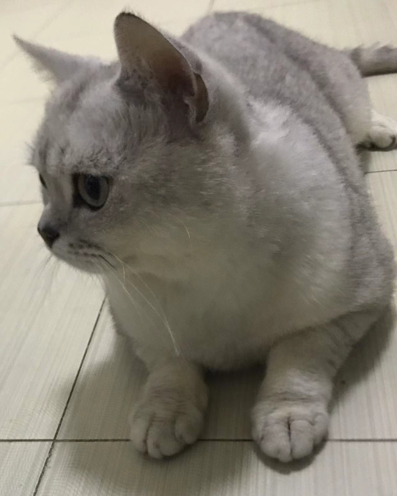 微信图片_202205041445011.jpg
