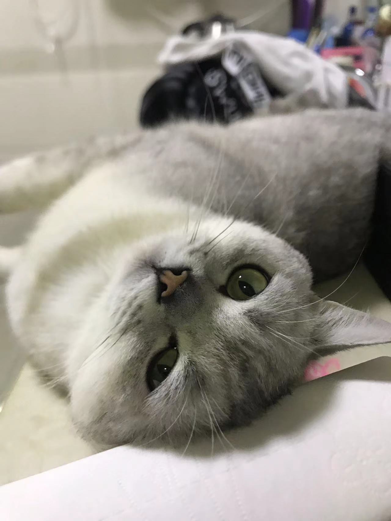 微信图片_202205041445012.jpg