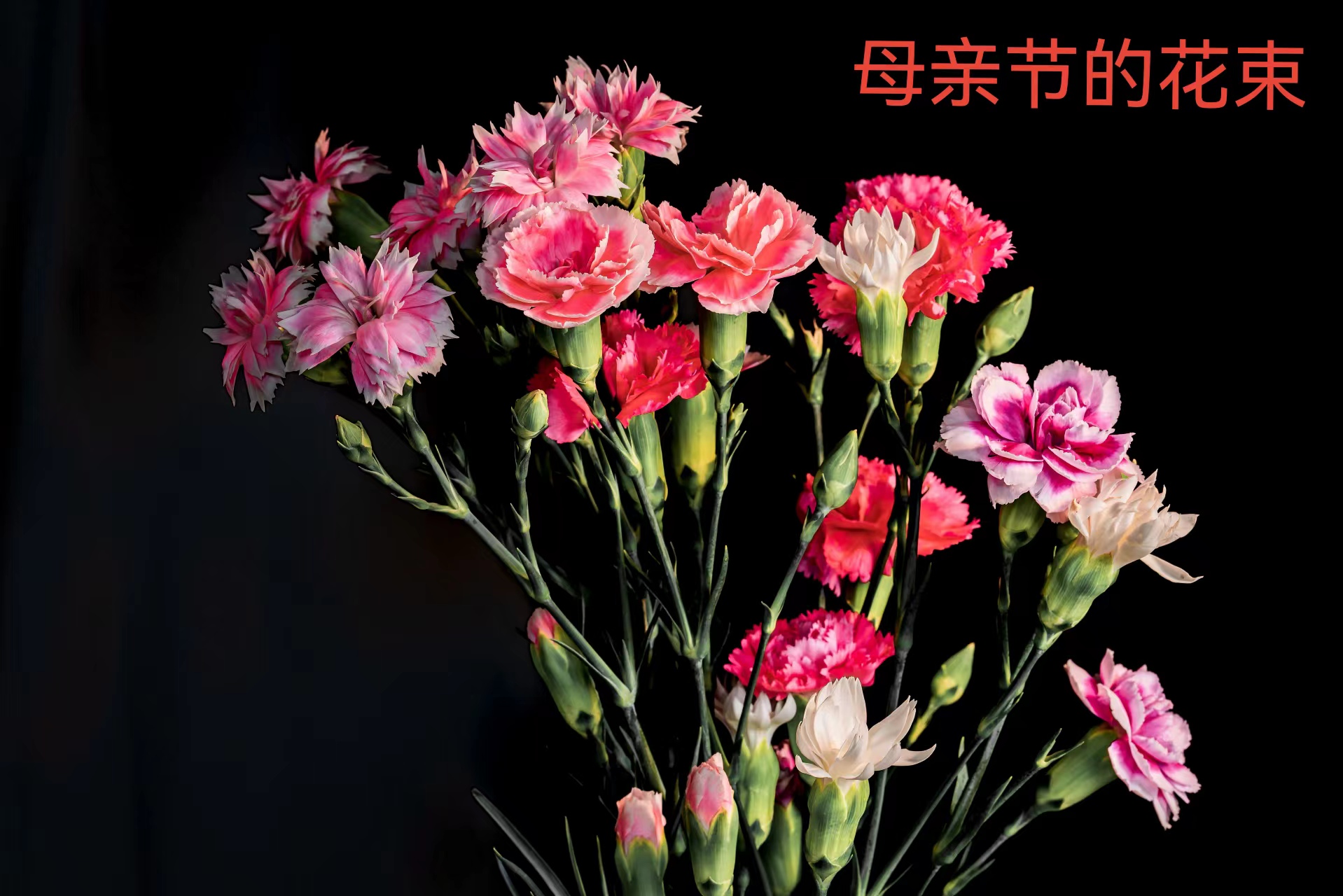 wechat_upload1651921060627650a4c224e