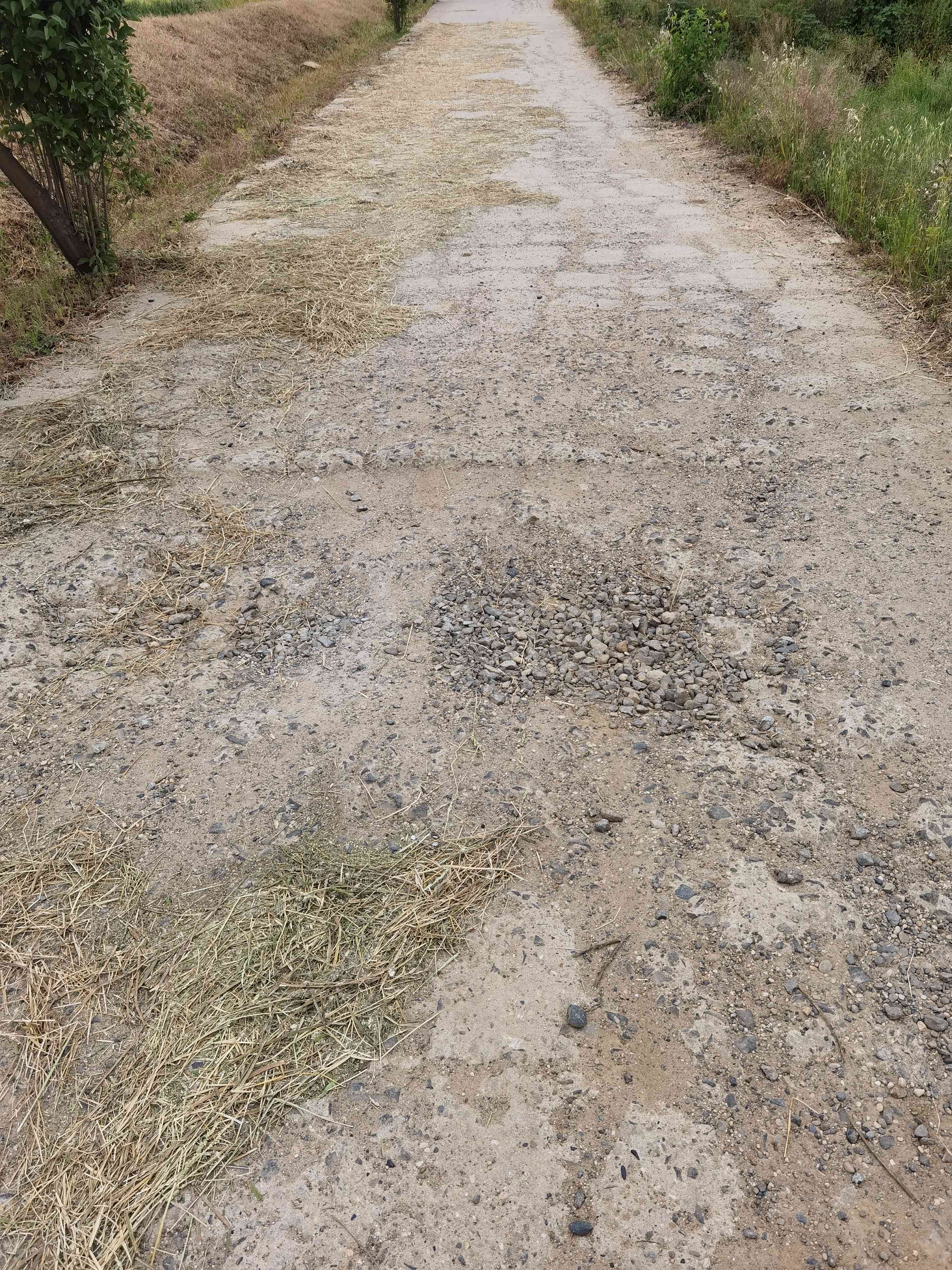 IMG_20220509_171622.jpg