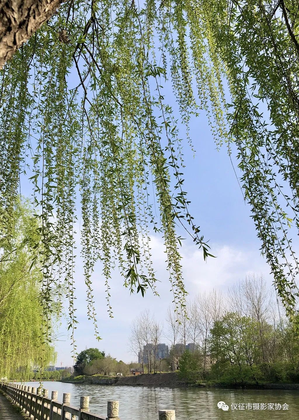 640?wx_fmt=jpeg.jpg