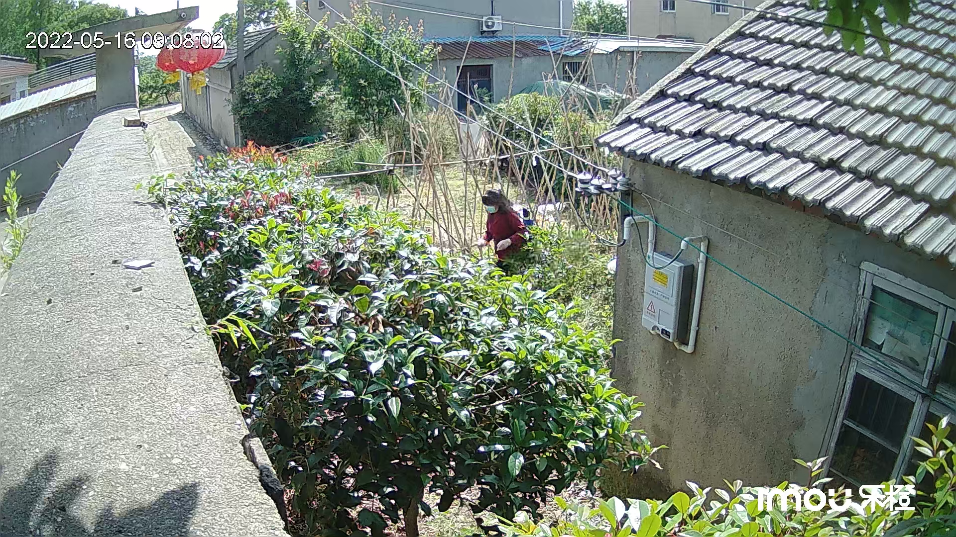 张集街道任信梅