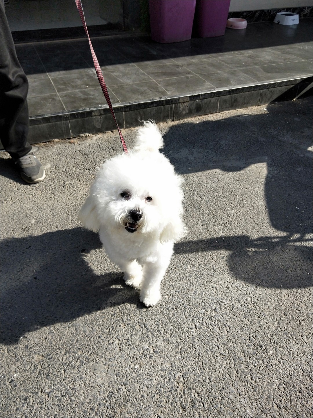 IMG20211125122453.jpg