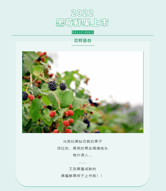 微信图片_20220610110729.png