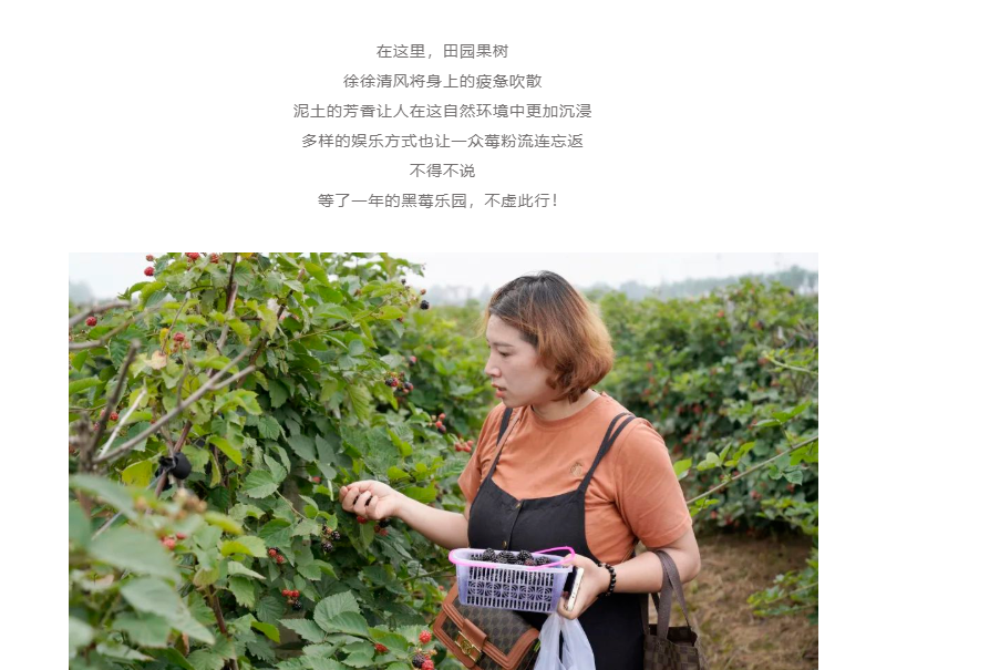 微信图片_20220610111106.png