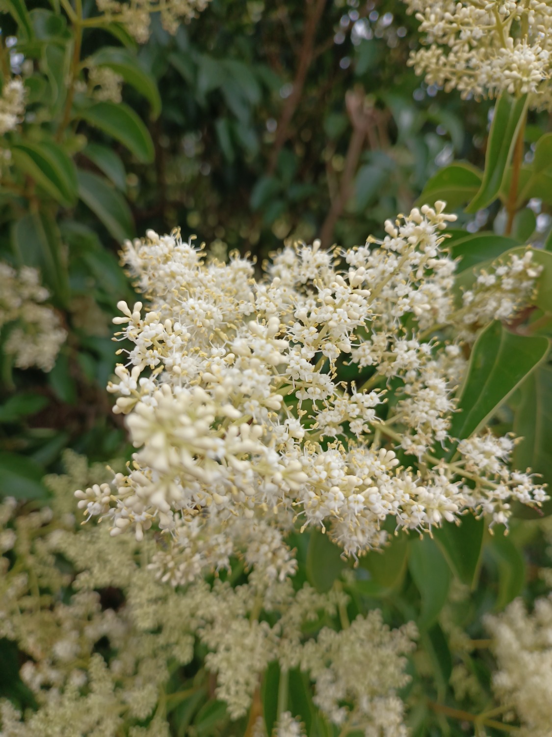 xs_1655023713022.jpg