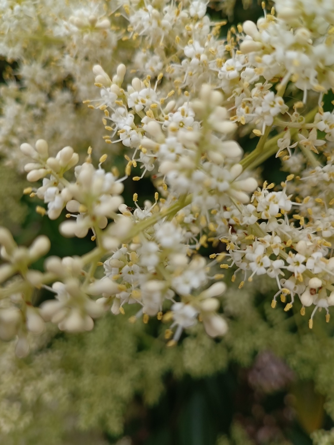 xs_1655023713022.jpg