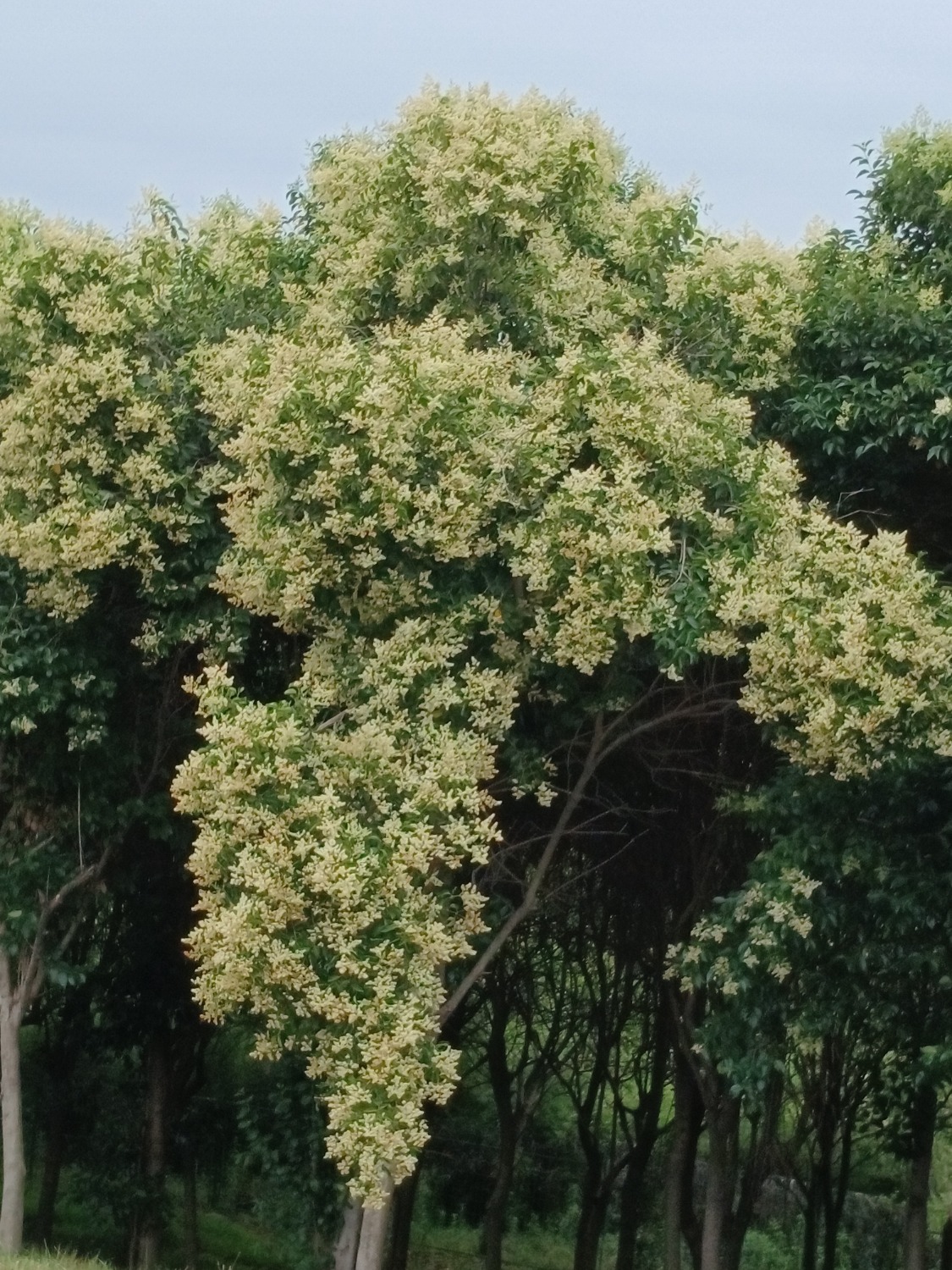 xs_1655023713022.jpg