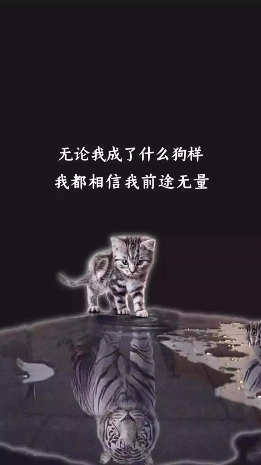 20190624120155_82954.jpg