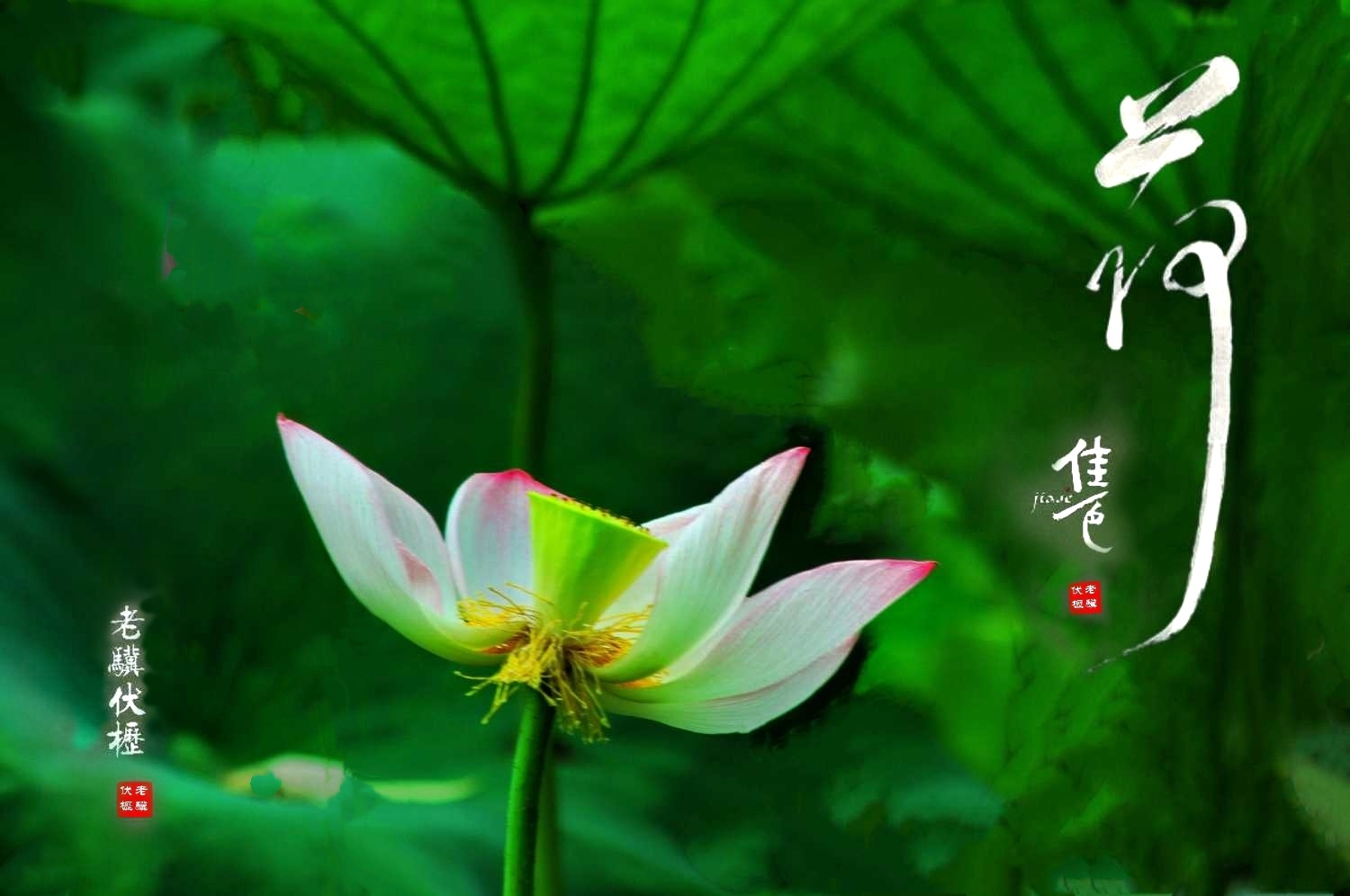 wechat_upload165599489462b47a0e3c5ca