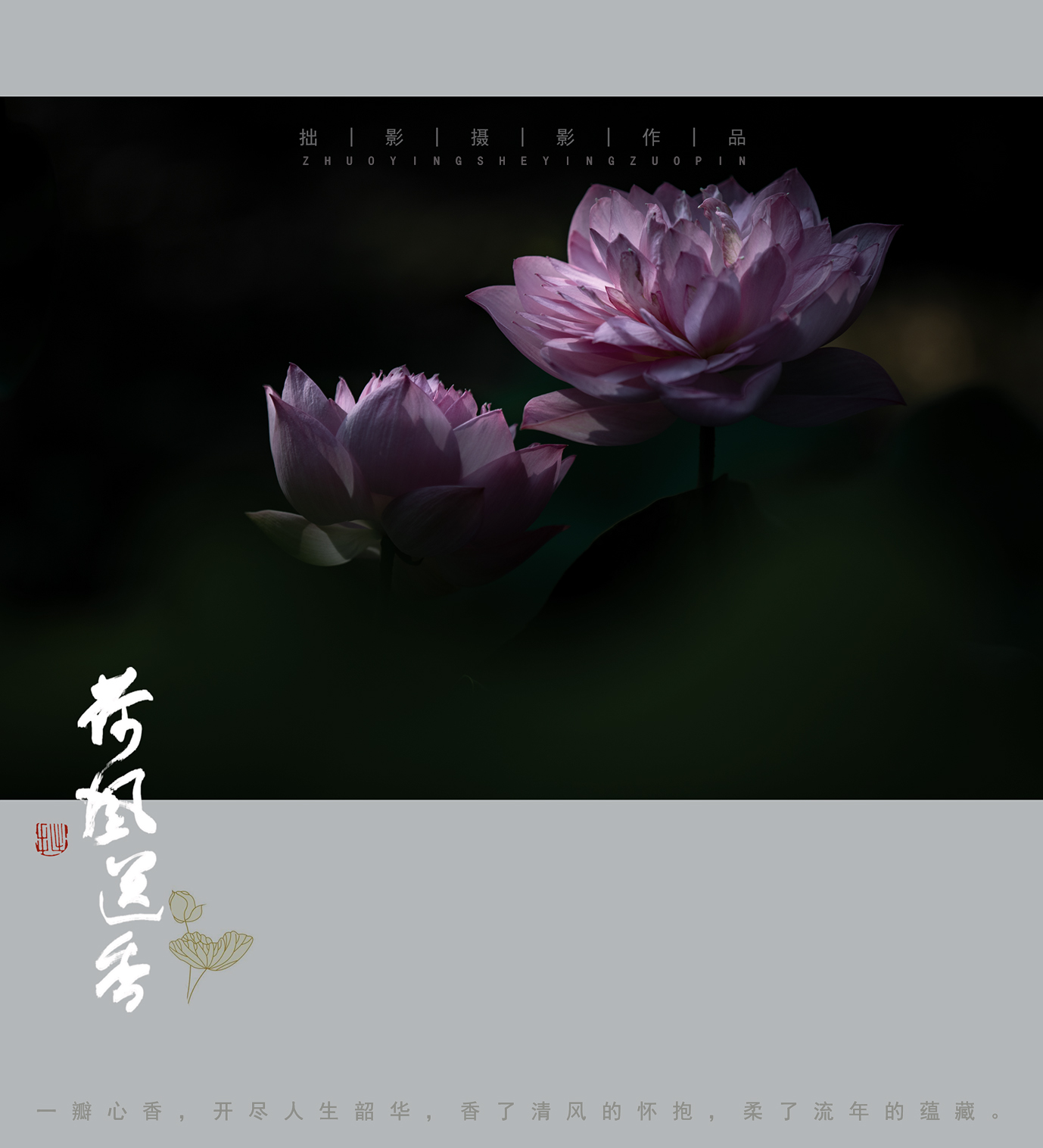 送香1.jpg