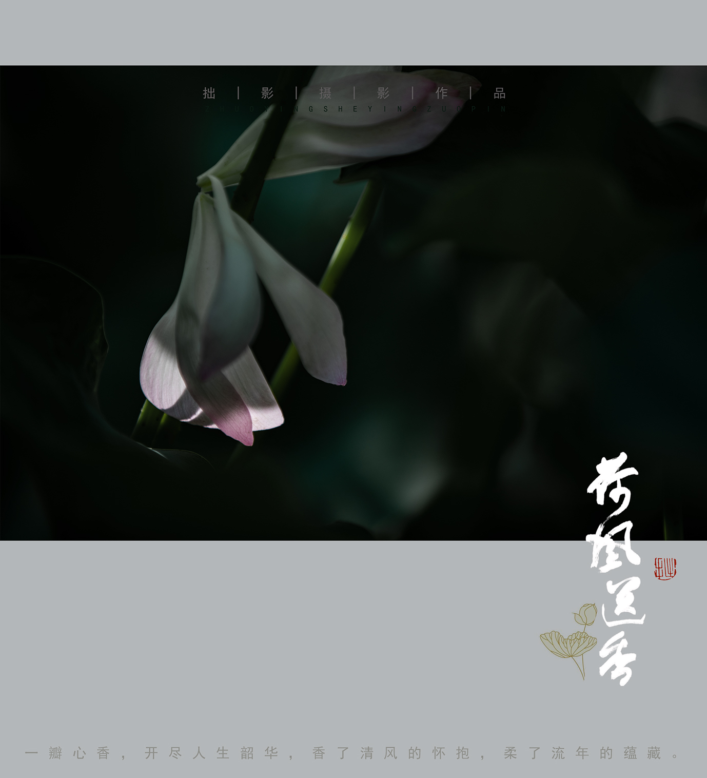 送香11.jpg