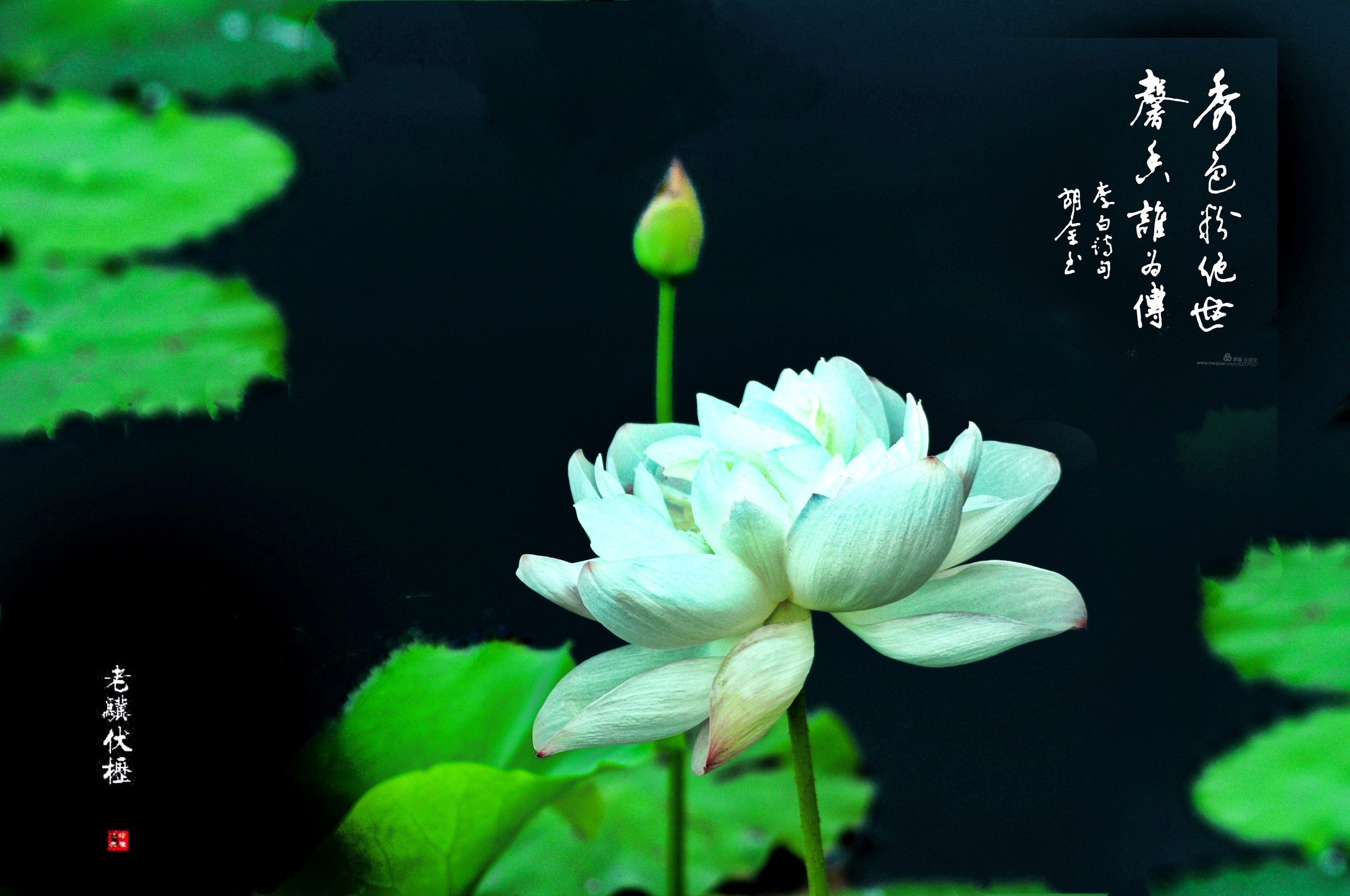 wechat_upload165702927662c4429c8d6c0