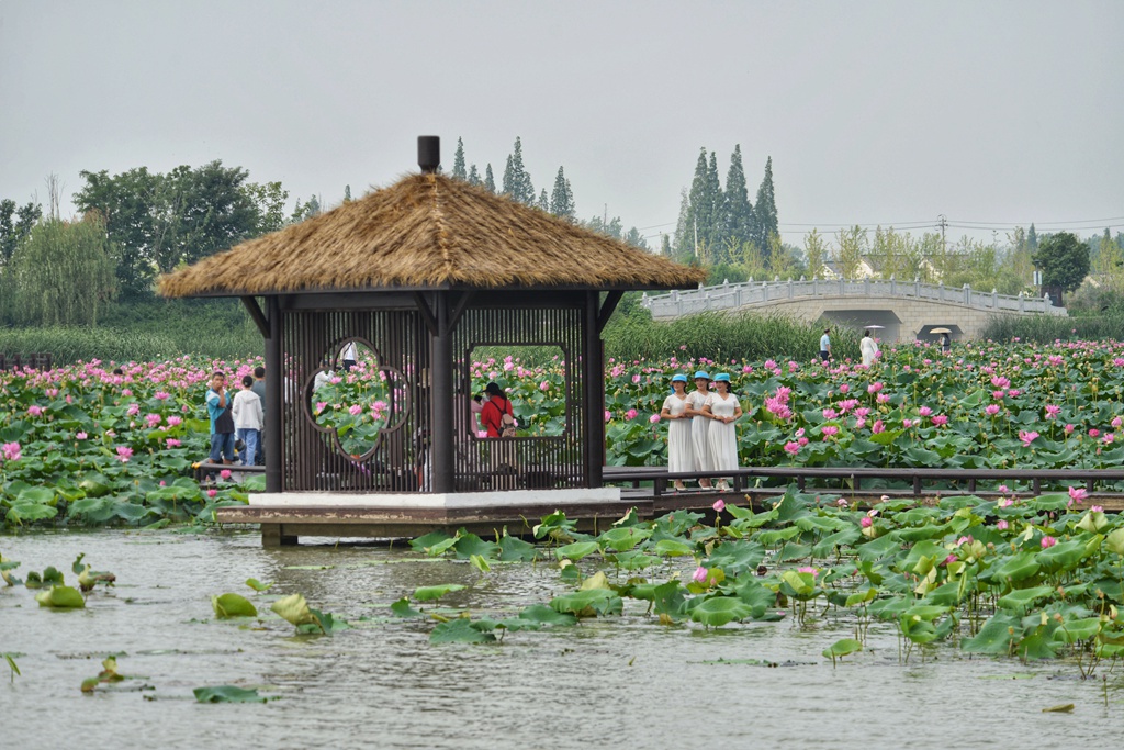 QQ图片20220706102746.jpg