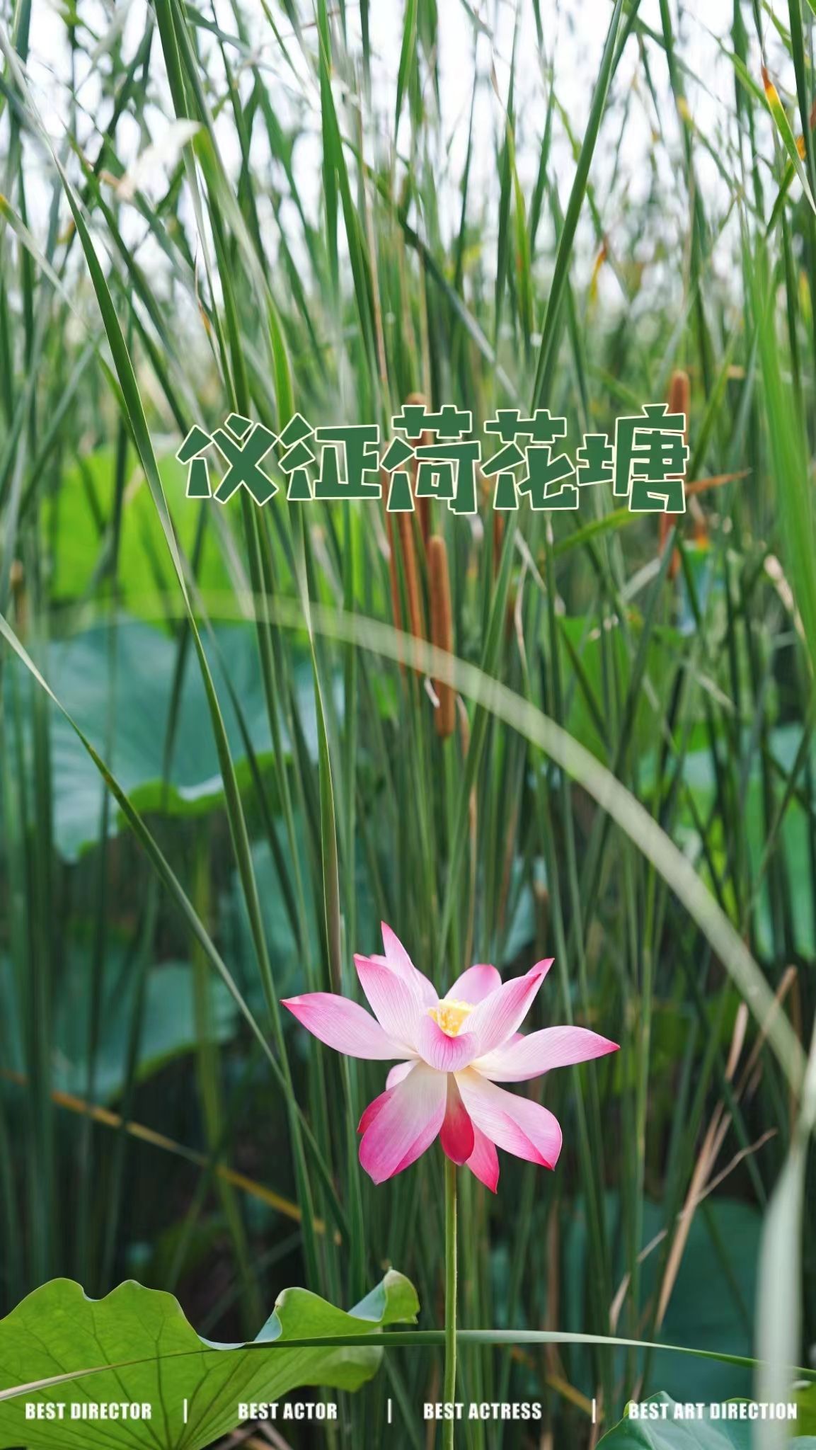 wechat_upload165790314862d1982ceab07