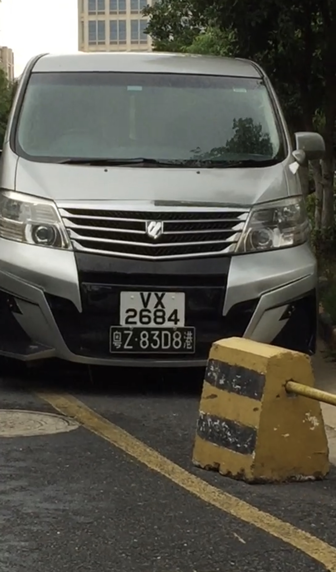 粤Z港双牌车照车子