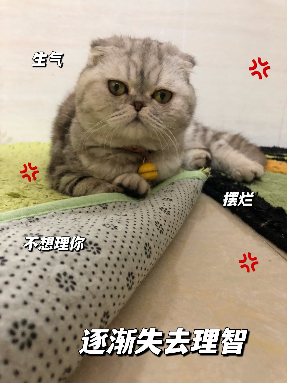 85ED929A-67DD-4B56-BFEF-5FBB78731154.jpeg