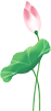 640?wx_fmt=png.jpg
