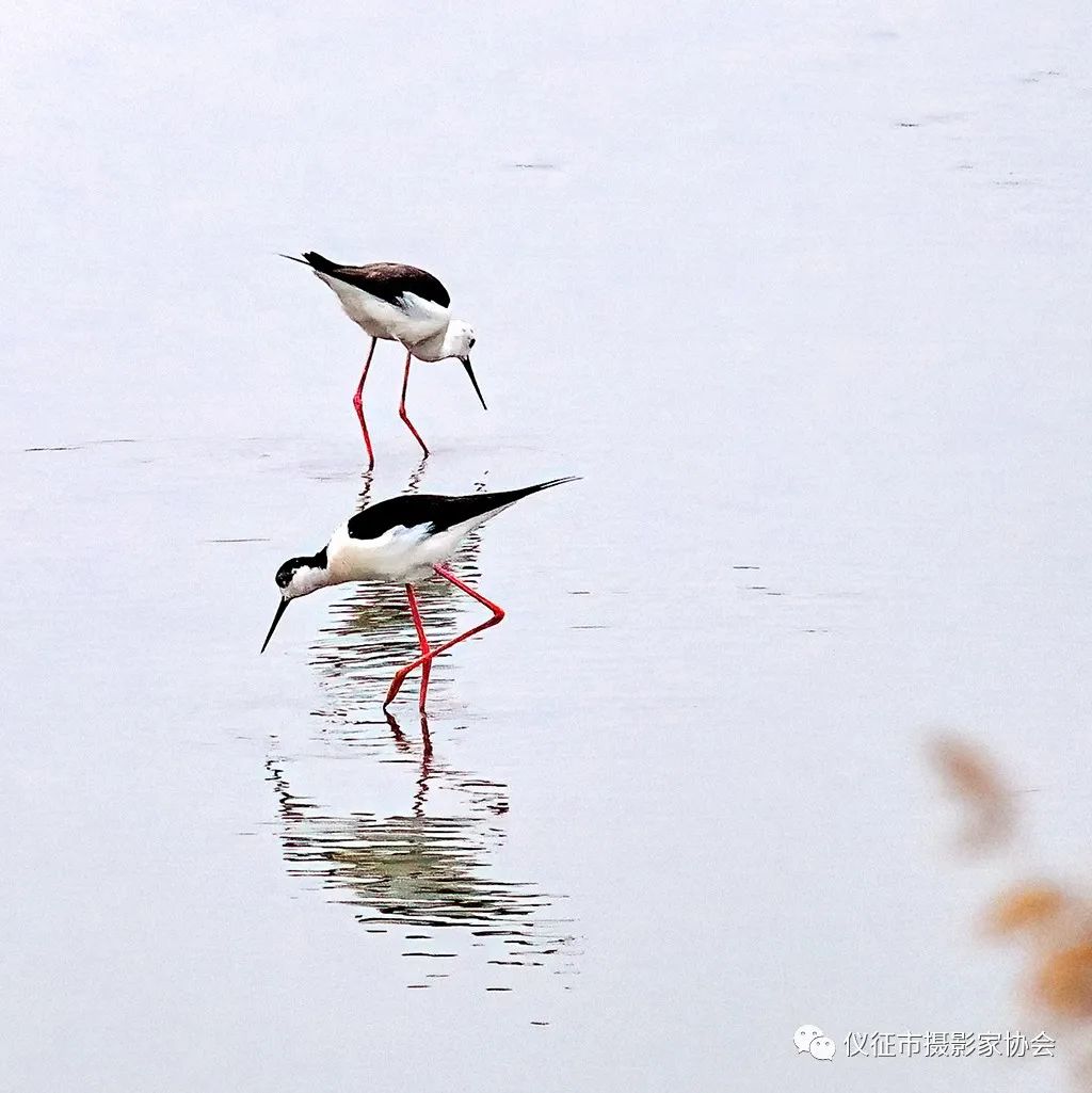 640?wx_fmt=jpeg.jpg