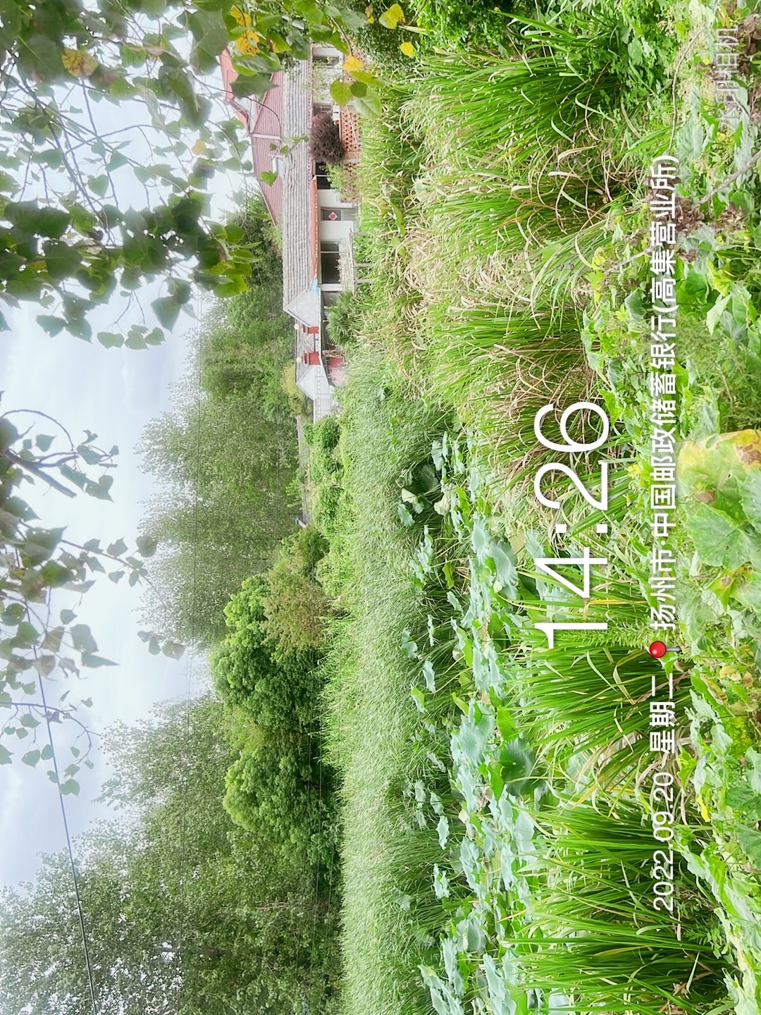 EBF35607-EBC6-4A2A-8079-4D226F49426D.jpeg