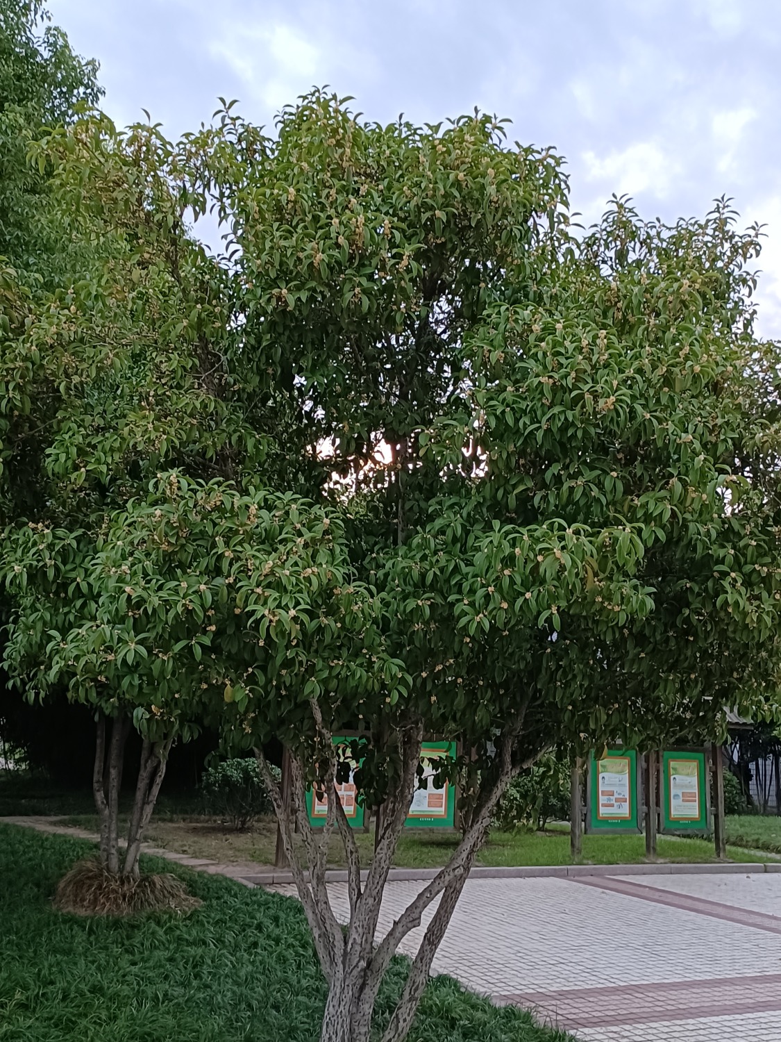 IMG_20220921_180253.jpg