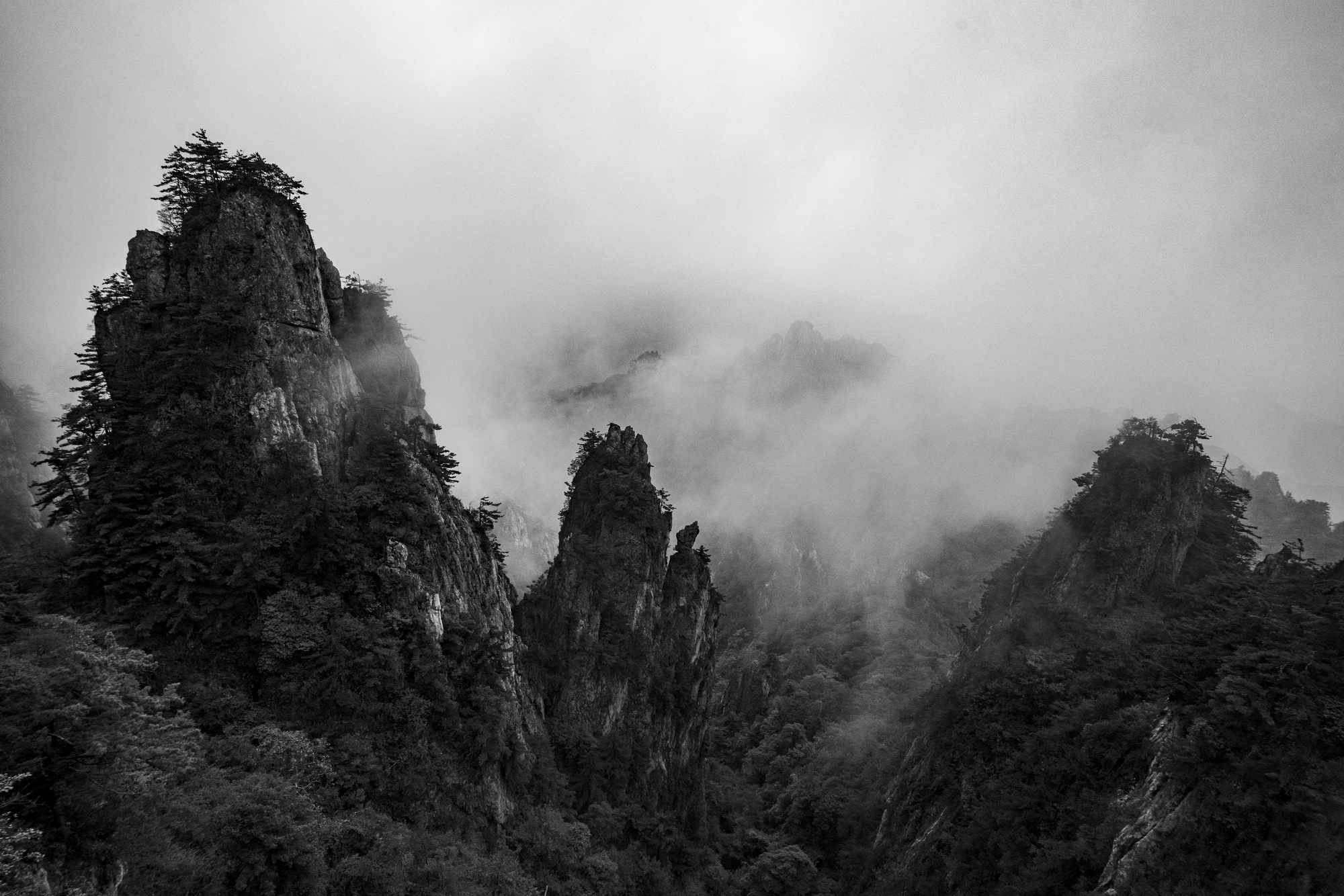 DSC05727_2.jpg