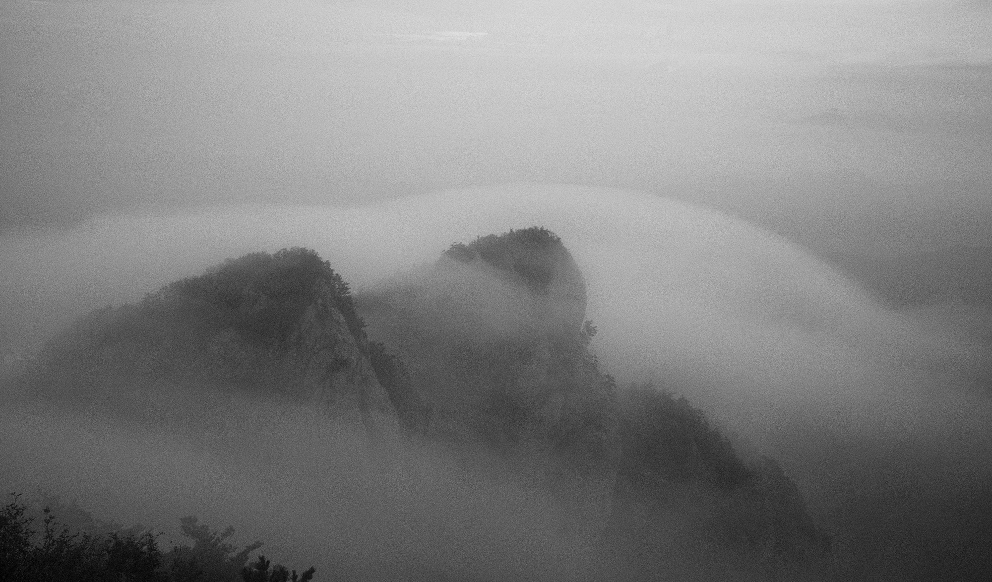 DSC05778_2.jpg