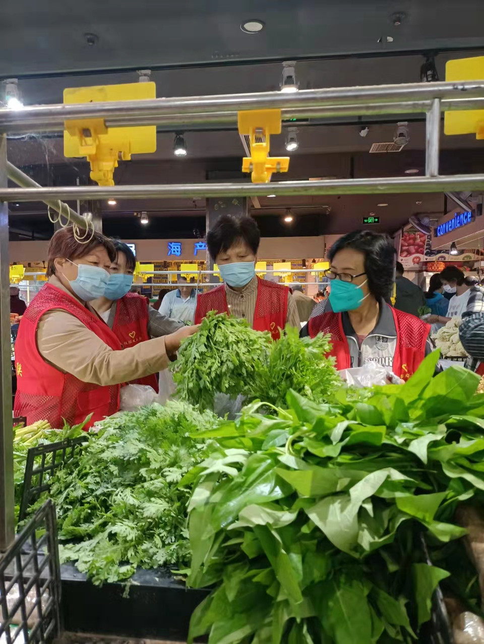 y02.jpg