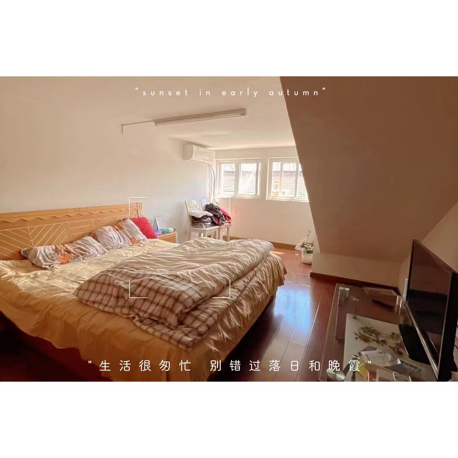 5a335e9ff211dd9431c9b59ff1a5d97.jpg