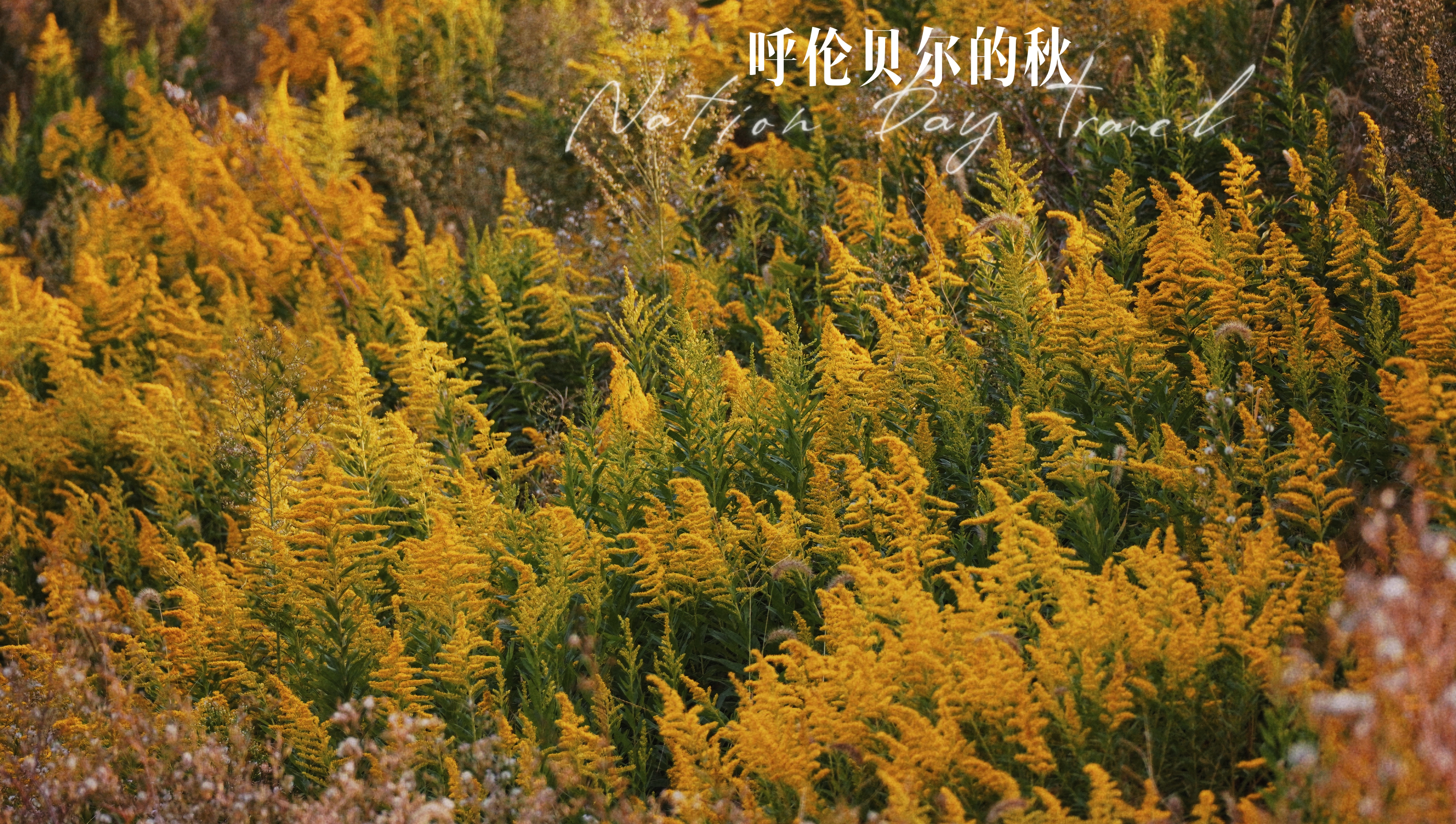 wechat_upload16664940306354ae4e4d866