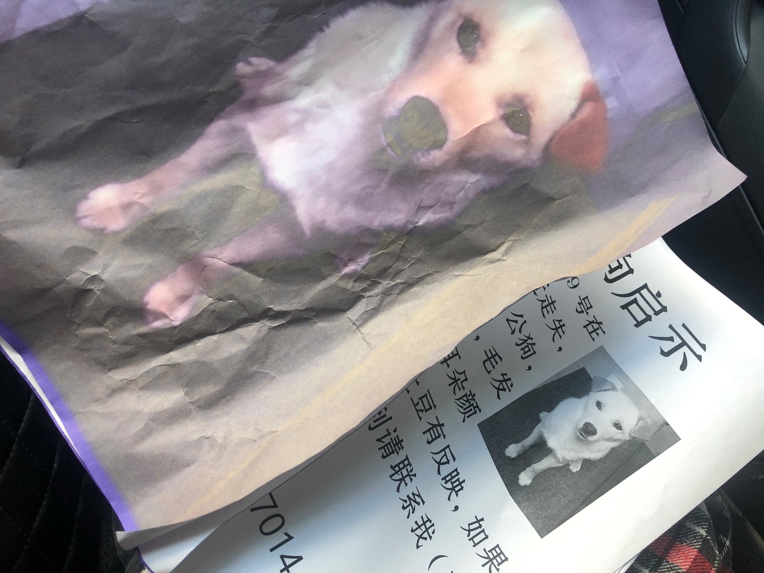 18D9941A-0740-4340-A87E-A45F0C2FAEF9.jpeg