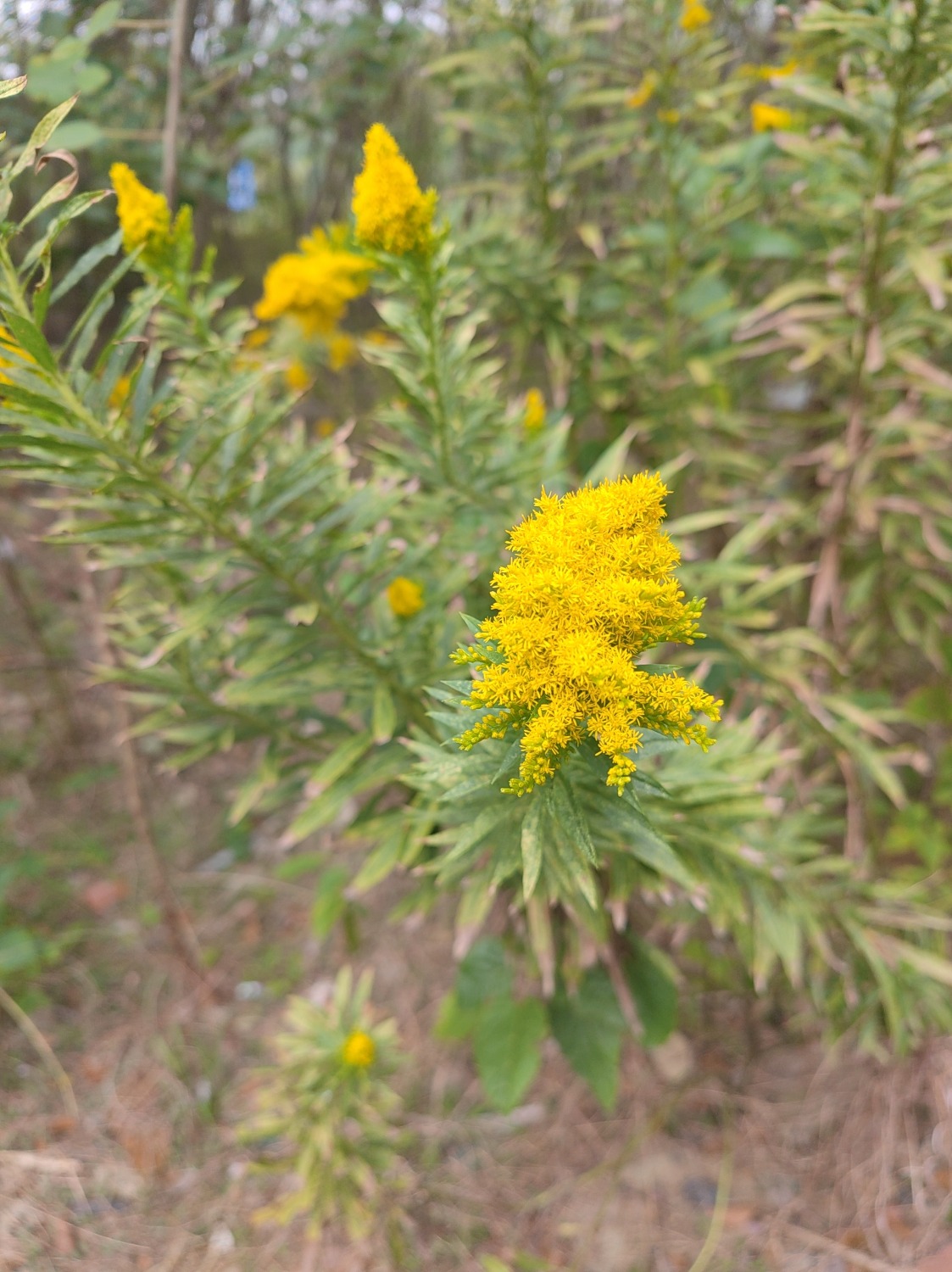 xs_1666402115583.jpg