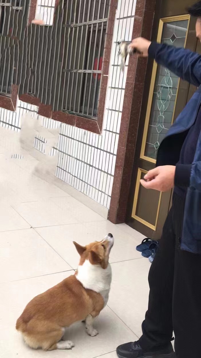 微信图片_20221029133725.jpg