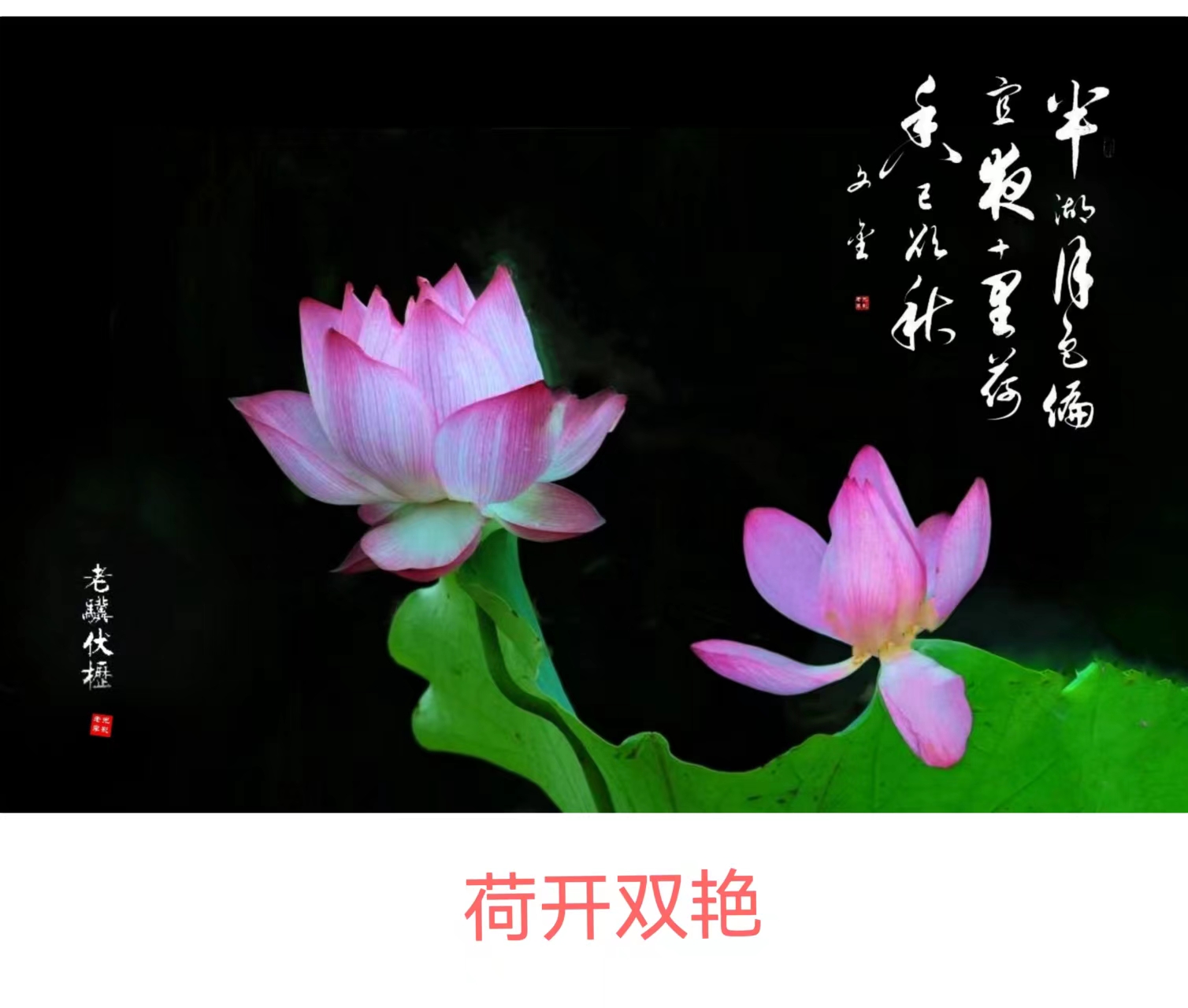 wechat_upload1667219454635fbffe80491