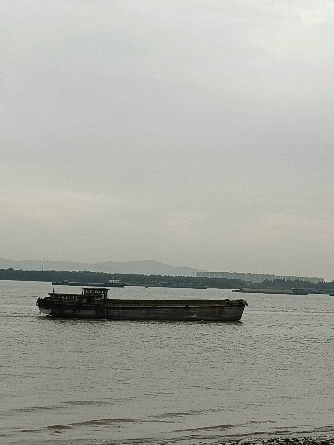 IMG_20221026_103529.jpg