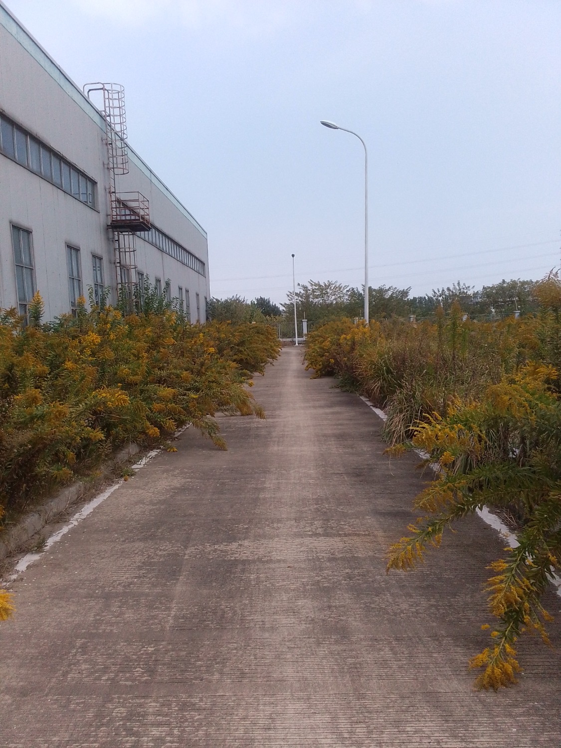 IMG_20221104_085330.jpg