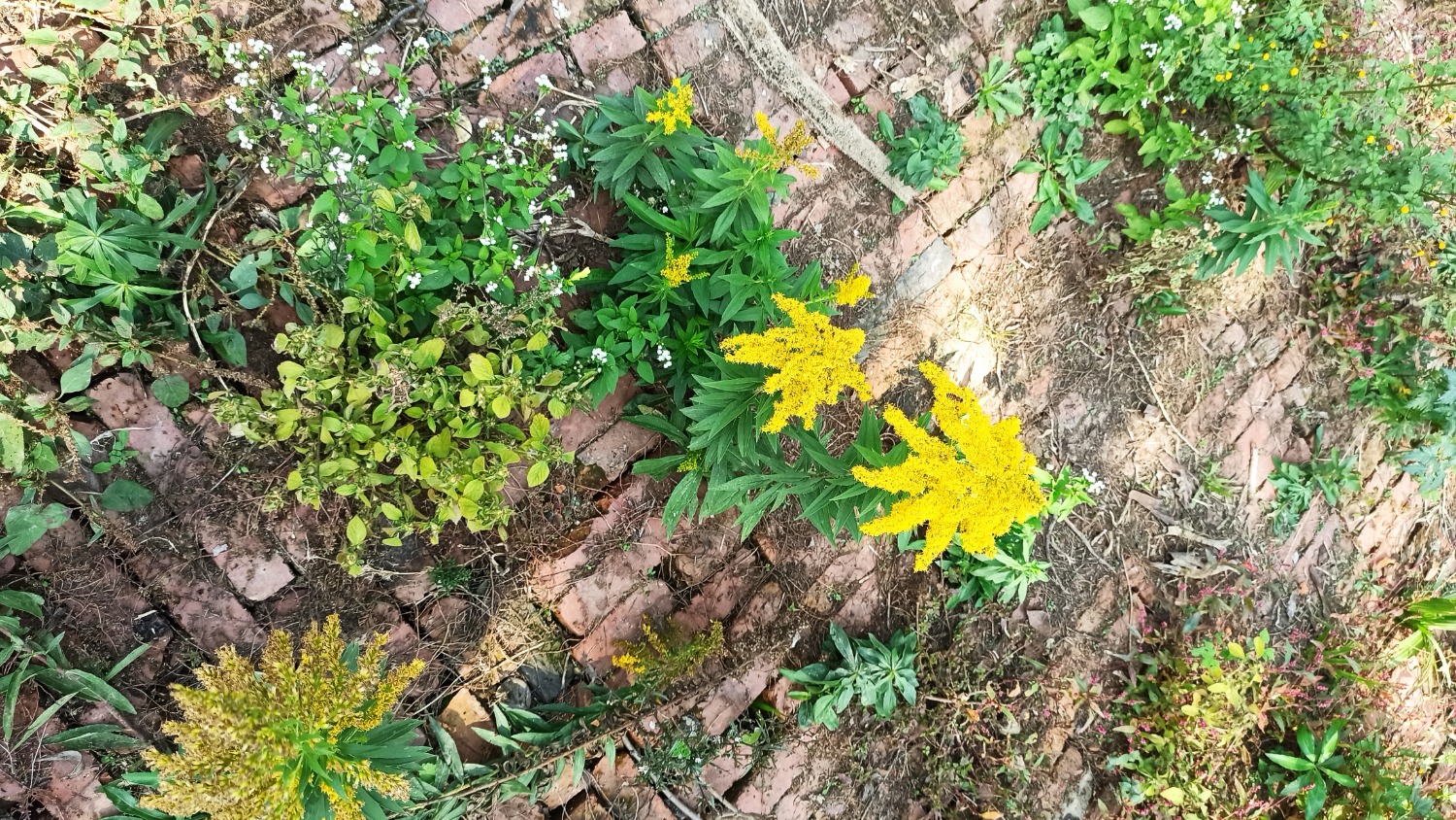 IMG_20221105_122116.jpg