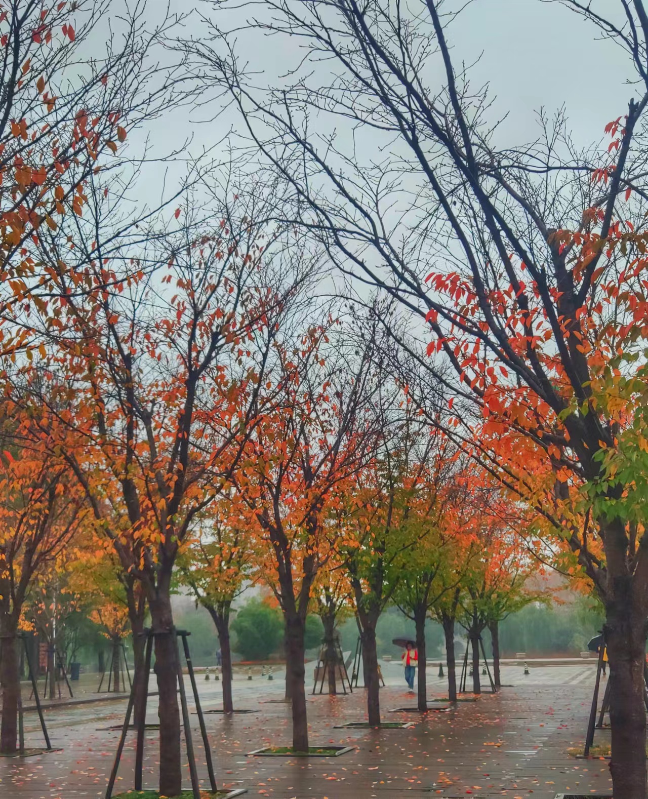 wechat_upload166933326463800110223ec
