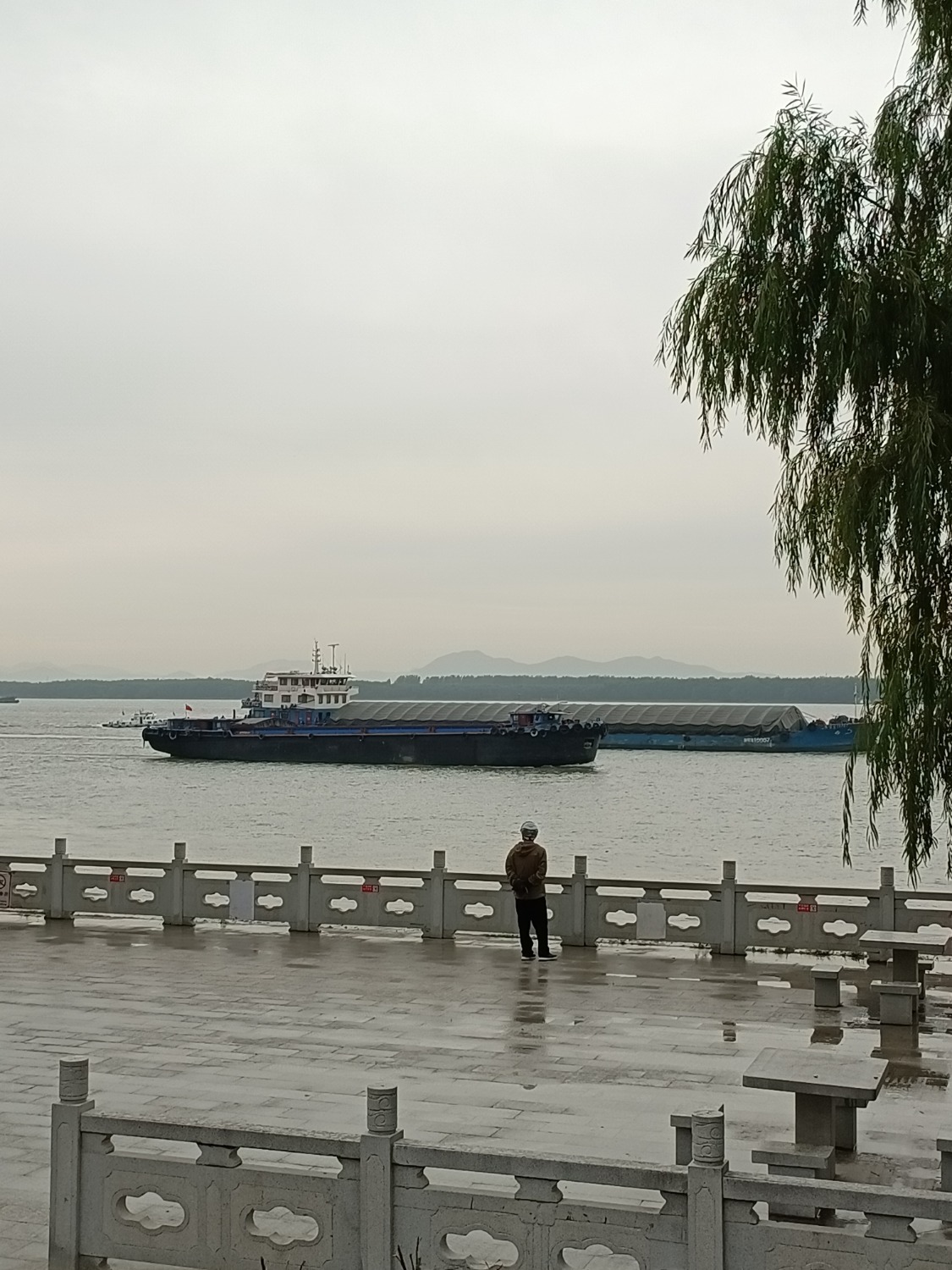 IMG_20221026_103147.jpg